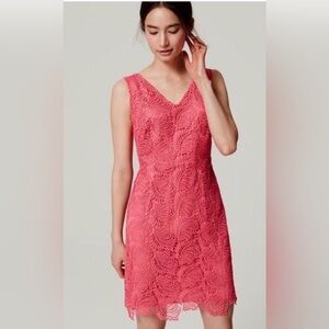 LOFT Coral Crochet Lace Cocktail Dress Size 10 Petite Wedding Guest Bridesmaid